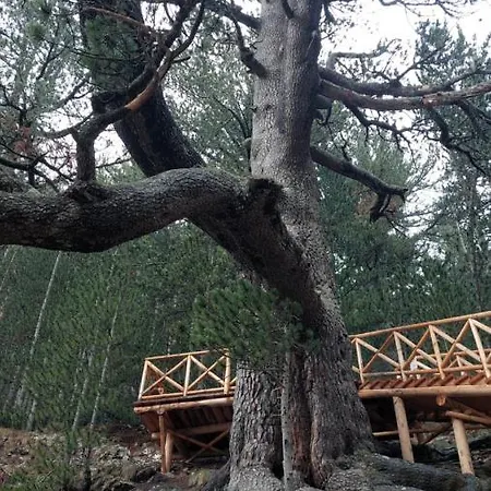 Free в св. иван рилски - сладък дом сред лукс 4* Μπάνσκο