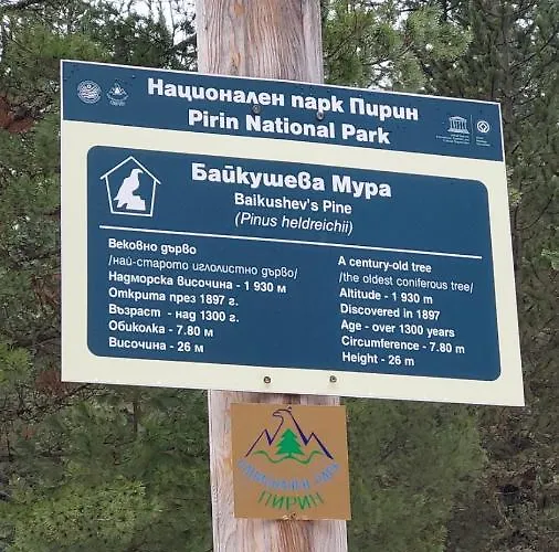 Free в св. иван рилски - сладък дом сред лукс