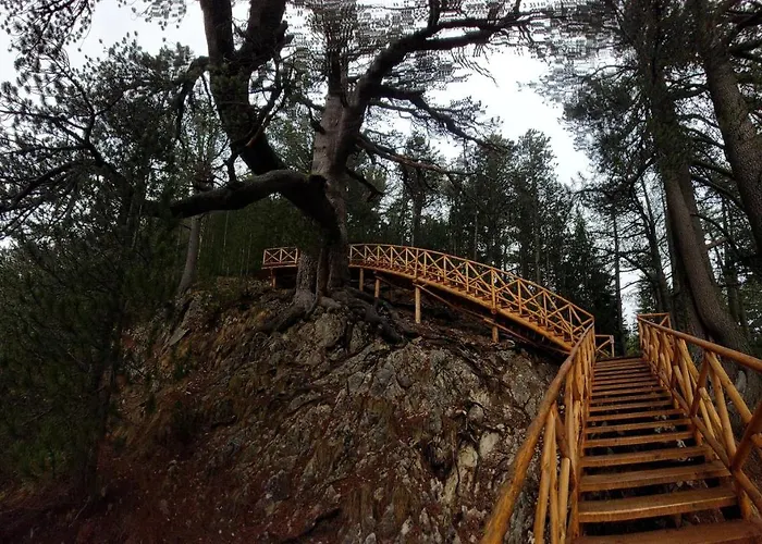 Free в св. иван рилски - сладък дом сред лукс 公寓式酒店 班斯科