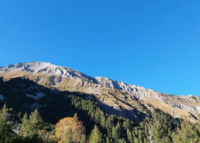 公寓式酒店 Free в св. иван рилски - сладък дом сред лукс 班斯科